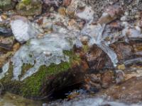 Bemooster Felsen im Zellgrabenbach mit Eisüberzug